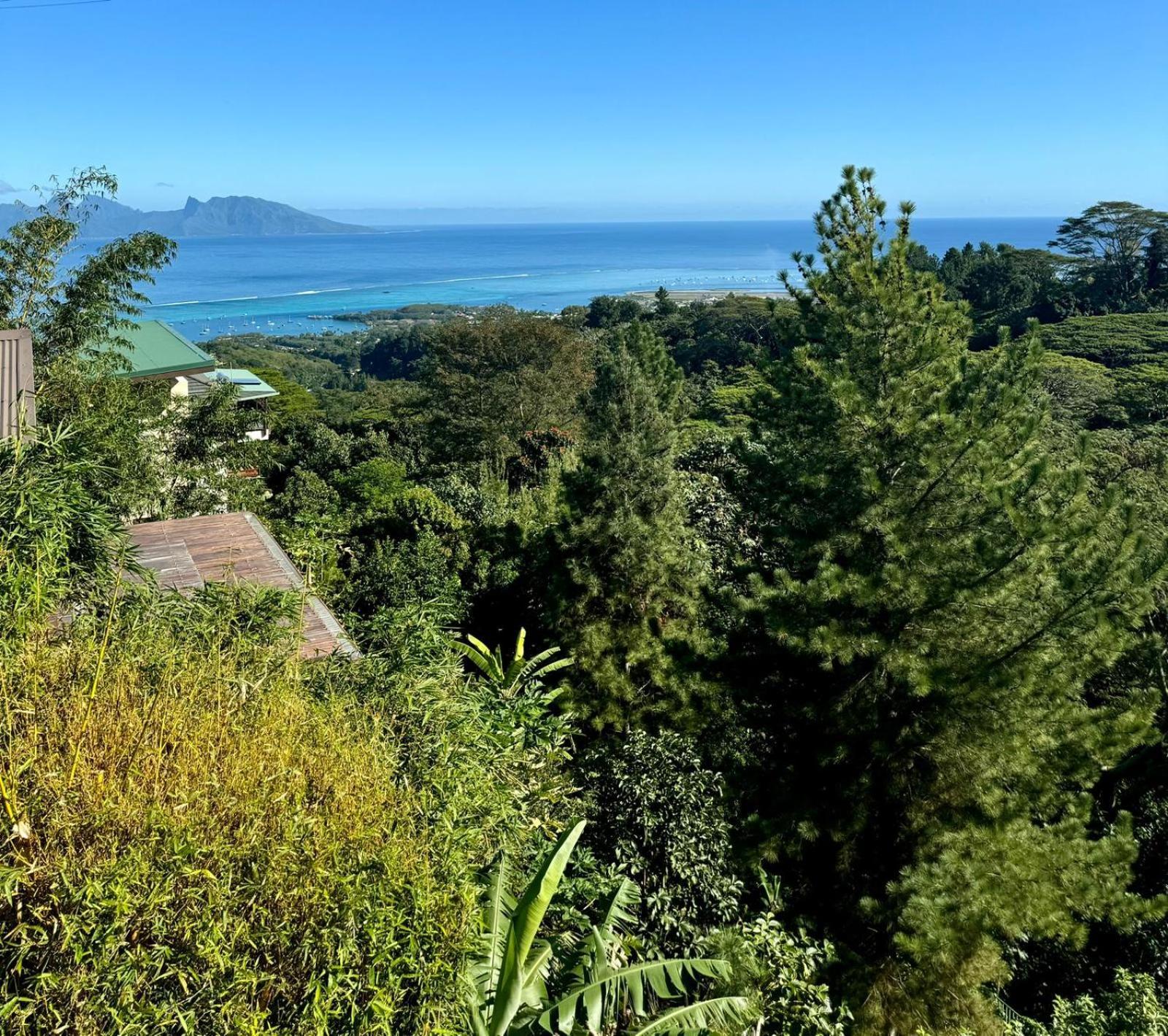 Studio Confort Avec Piscine Et Vue Tahiti Punaauia Exterior photo